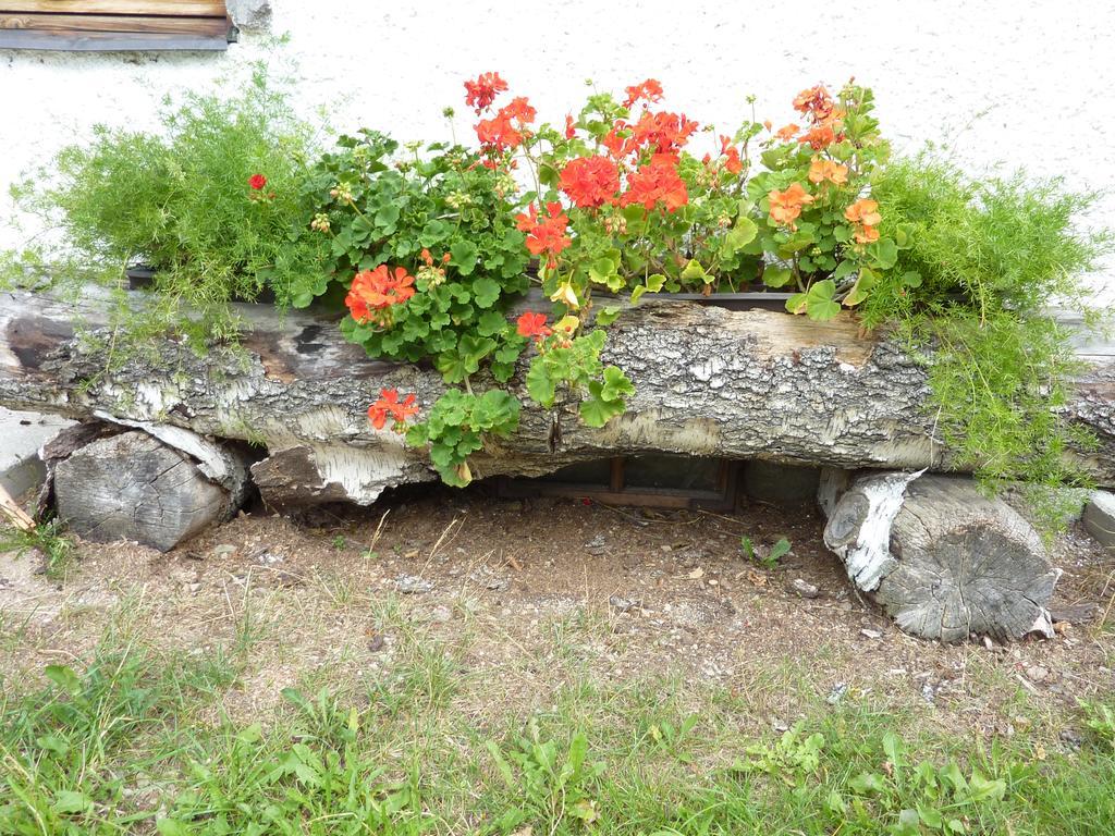 Bio-Bauernhof Rettenbachgut Werfen Extérieur photo